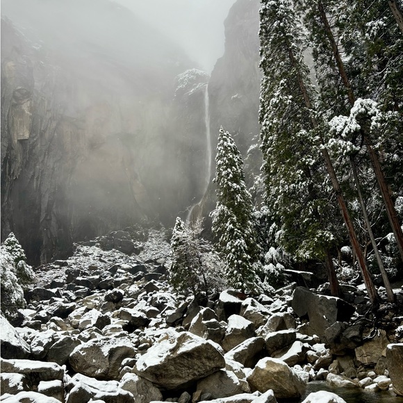 Meet your Posher, Grace - Picture 11 of 11